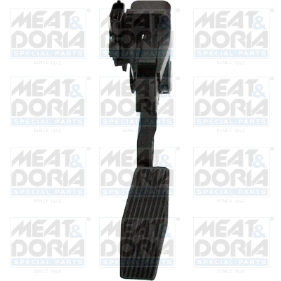 Accelerator Pedal Unit